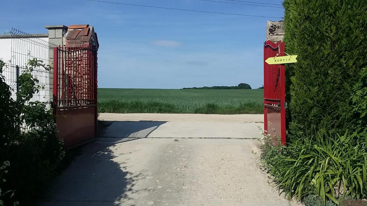Les Nympheas, Appart Au Calme Et Grand Jardin A 15 Min De Disneyland, Crecy-la-Chapelle Bagian luar foto
